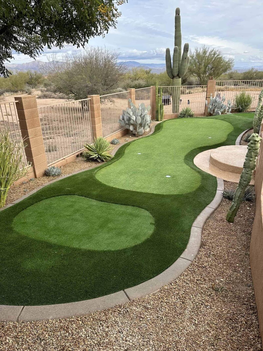 A backyard outdoor putting green with artificial grass golf green is surrounded by desert plants, cacti, a brick wall, and gravel landscaping, with a large cactus and desert landscape visible in the background.